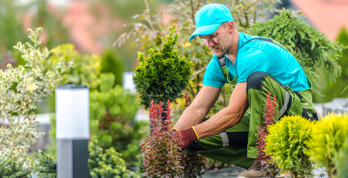 Gardening Education