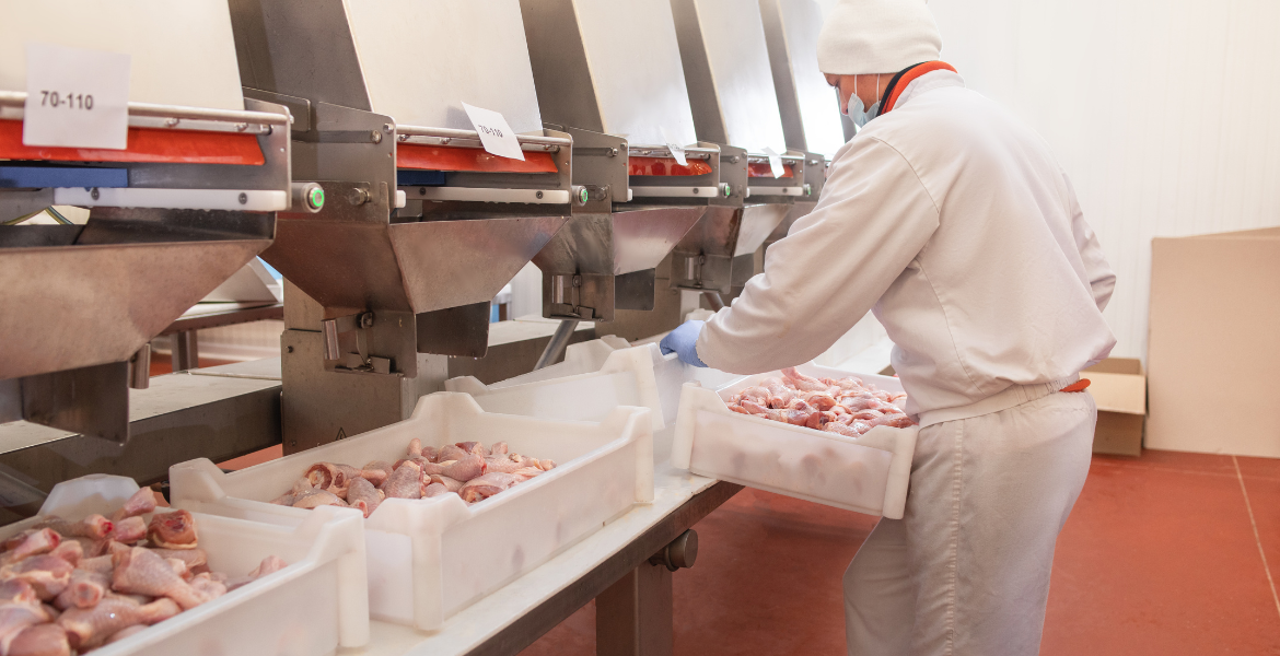 Industrial Meat Processing Training