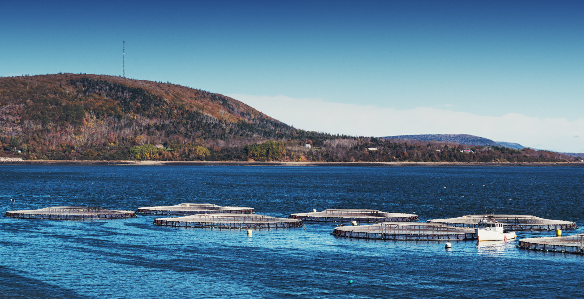 Fisheries Processing Training