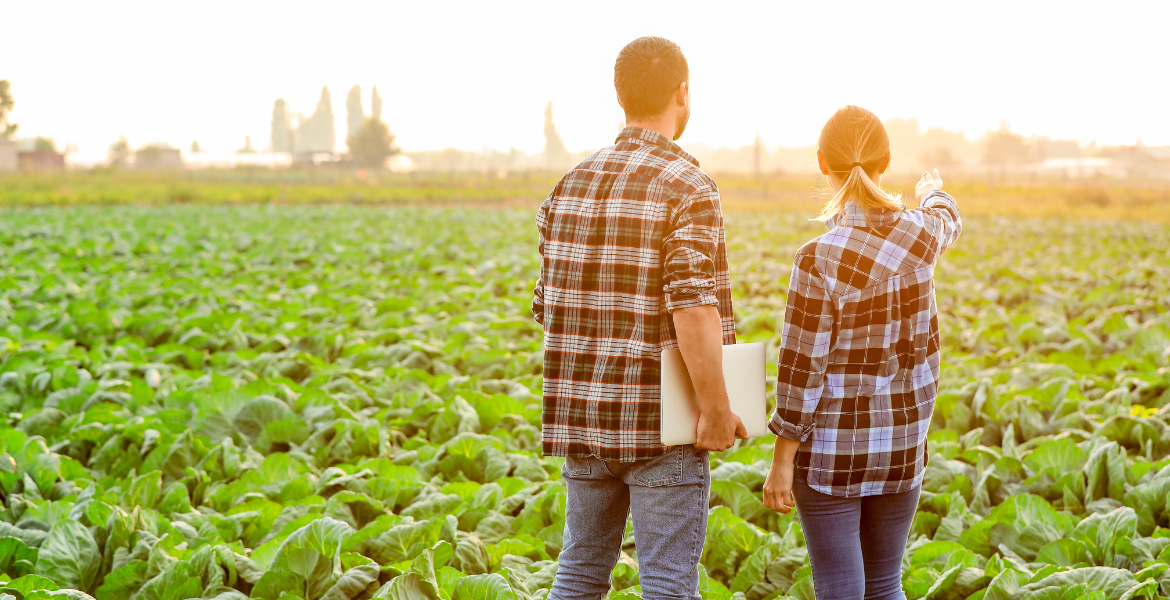 Field Crops Breeding Training